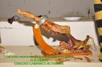 jamon.jpg