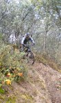DSCN3465.JPG