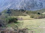 DSC05185.JPG