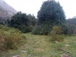 DSC05196.JPG