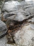 2011-11-01 11.20.53.JPG