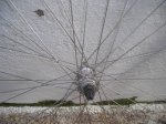 DSCN2231.JPG