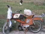 motoyf.jpg