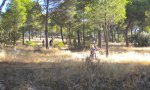 DSCN3461.JPG