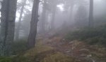 IMAG0471.jpg