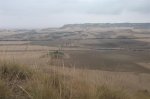 fotos ibex 019 (Large).jpg