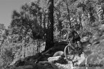 DSC_0091 copia.JPG