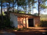 DSCN0870.JPG