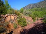 DSCN0874.JPG