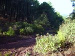 IMG_0006.JPG