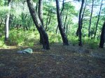 IMG_0008.JPG