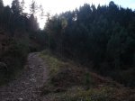 DSC00015.jpg
