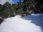 P0000010_redimensionar.JPG