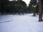 P0000017_redimensionar.JPG