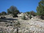 23-12-96 Moralzarzal 005.jpg