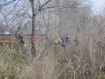 IMG_2130.jpg