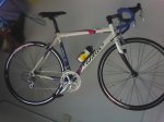 LAMPRE 2.jpg
