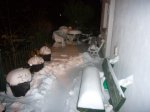 P1510357_redimensionar.JPG