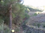 xRUTA ENDURO EN AYNA  21-ENERO-2007 081.jpg