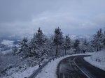 Resize of DSC04537.JPG
