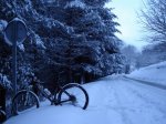 Resize of DSC04544.JPG