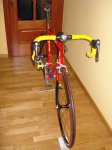 DSC00566_2.jpg