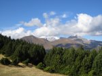 IMG_3429.jpg