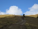 IMG_3446.jpg
