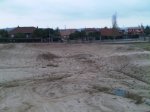 IMG00371-20111102-1239.jpg