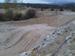 IMG00372-20111102-1240.jpg