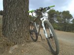 img20111008123937.jpg