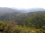23102010595.jpg