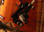 img1047we.jpg