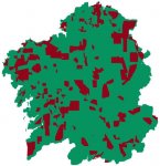 1235312.jpg