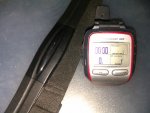garmin 305.jpg