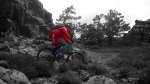 jarosa20.JPG