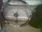 IMG00419-20111103-1302.jpg