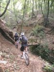 DSCN1868.jpg