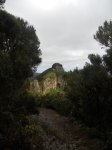 DSCN1878.jpg