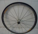 DSC00154.JPG