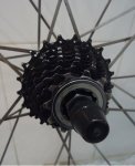 DSC00160.JPG