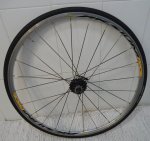 DSC00161.JPG