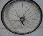DSC00158.JPG