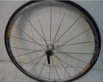 DSC00155.JPG