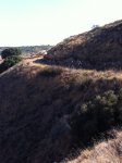 img1793jf.jpg