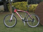Massi pro evo red mod 2.JPG