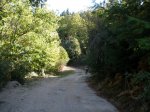 PA090006 (Copiar).JPG