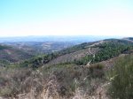PA090029 (Copiar).JPG
