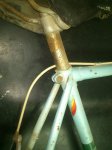dsc0071wo.jpg