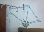dsc0074xt.jpg